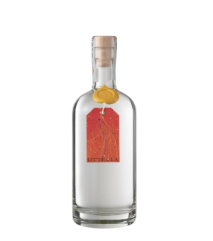 Grappa di Lugana Cantina...